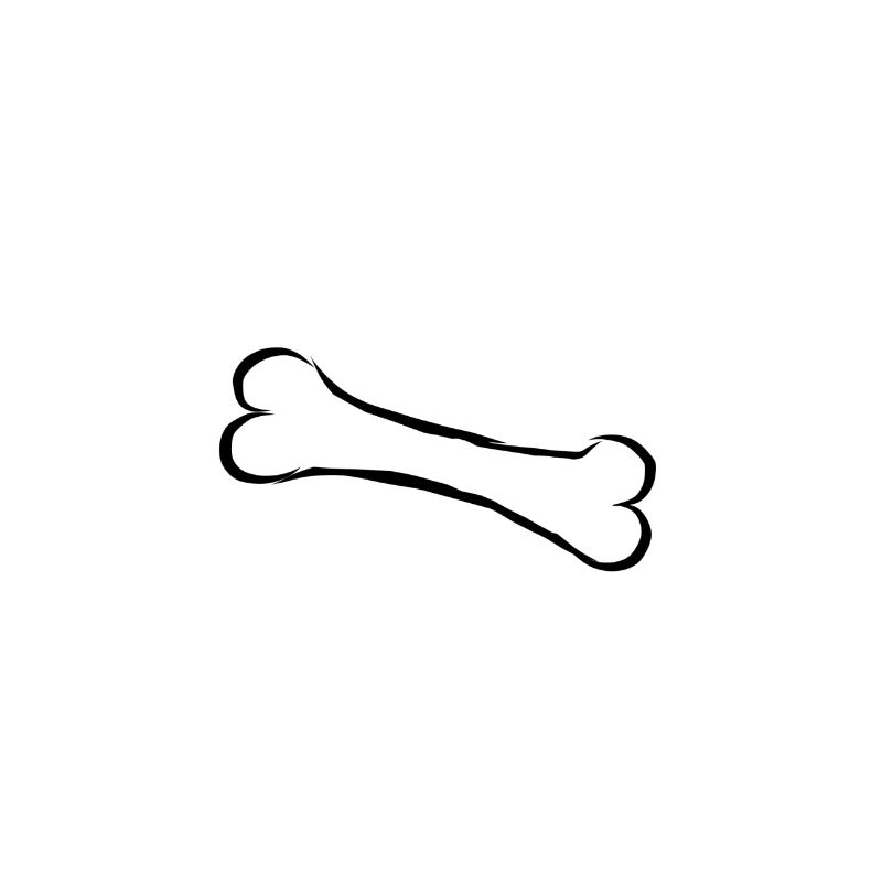 Os bone