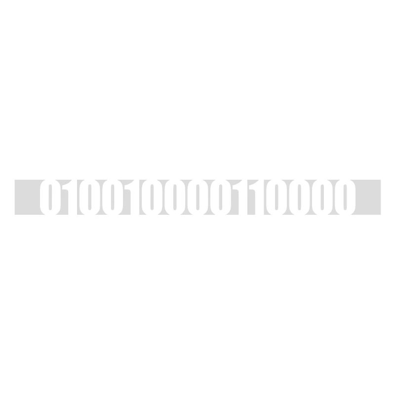 Binary Code Program Language