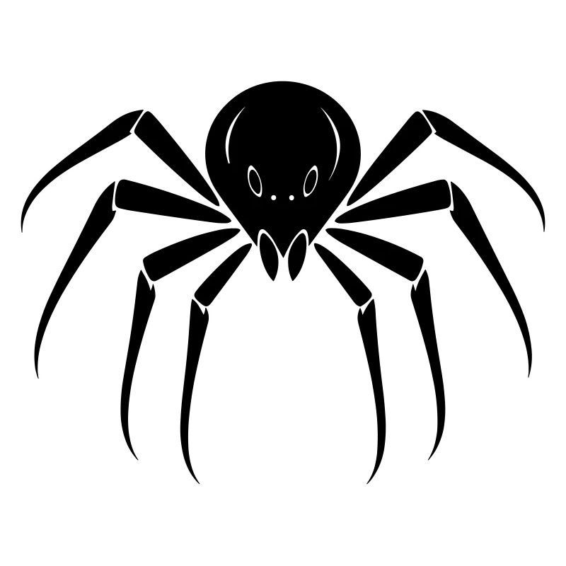Spinne