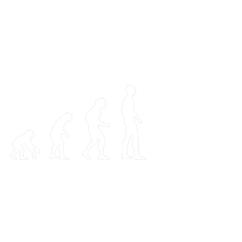 Evolution Saut d'obstacles