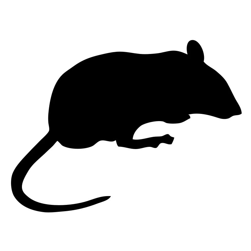 mouse mouse silhouette shadow shadow8