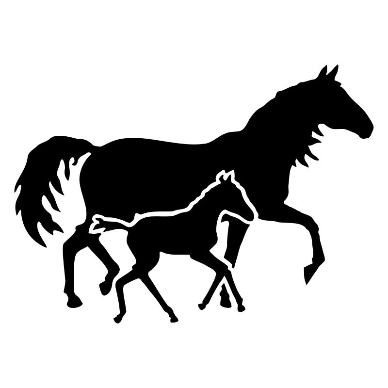 Fohlen mit Stute