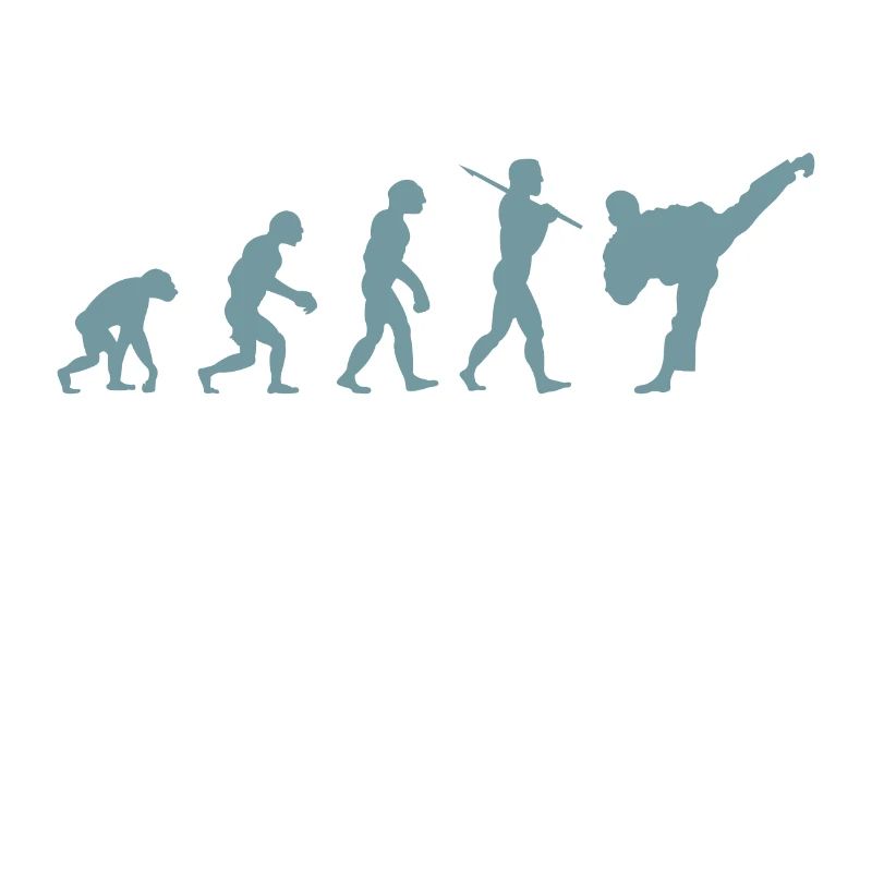 Karate Evolution