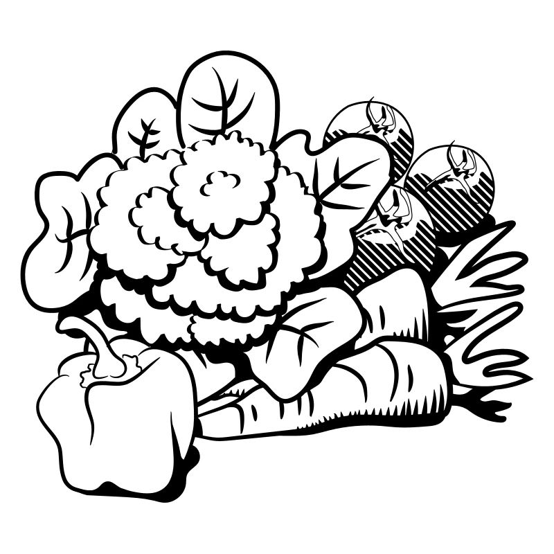 vegetable cauliflower