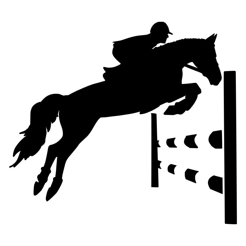 PFERD CSO