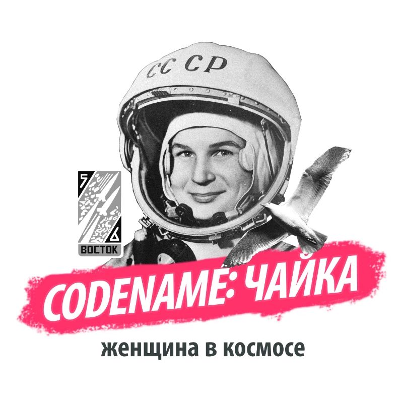 Codename: «Чайка»