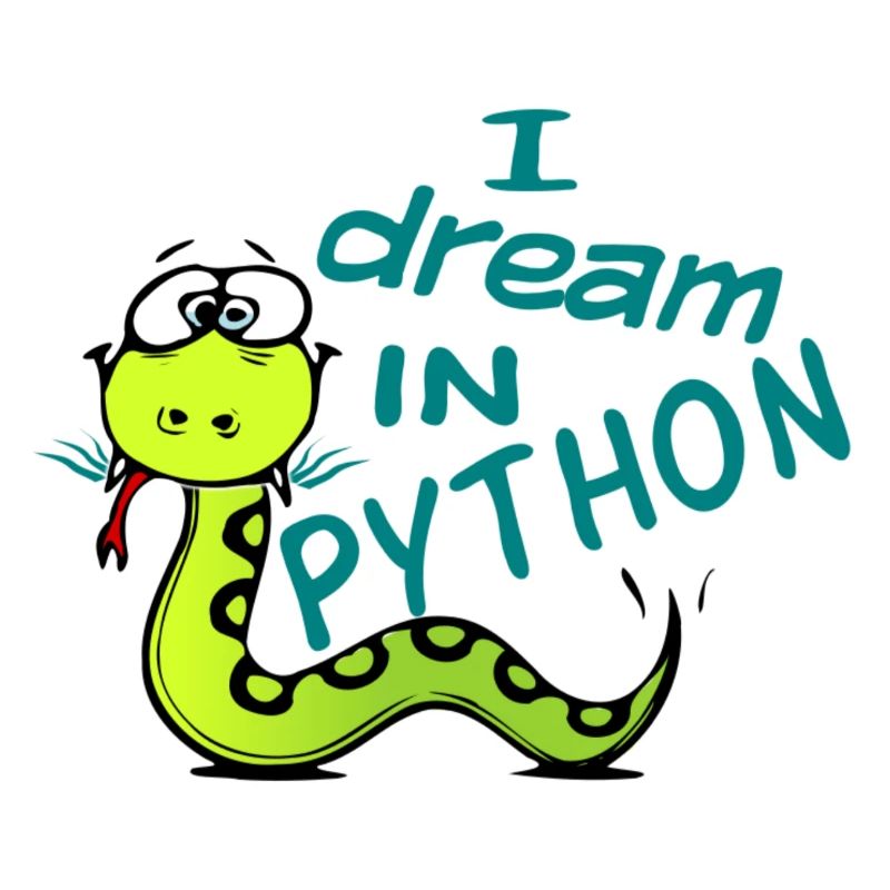 Programmeur Python