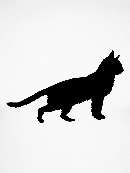 katze