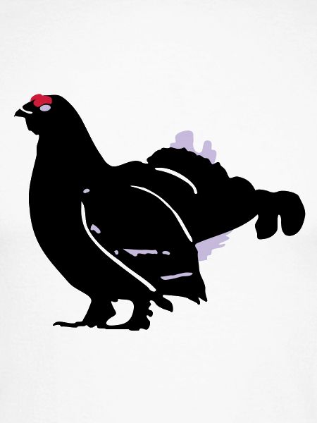 Birkhahn