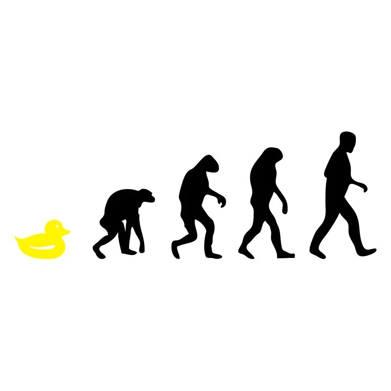 quietsche entchen evolution