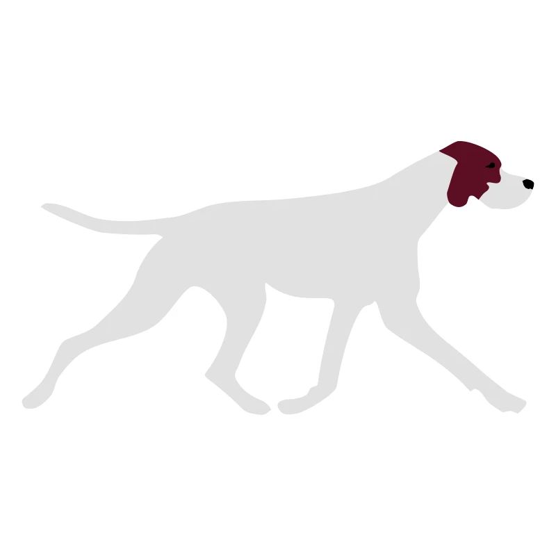 Pointer