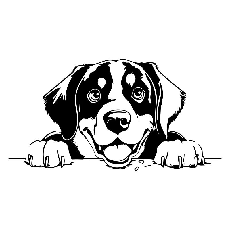 Großer Schweizer Sennenhund