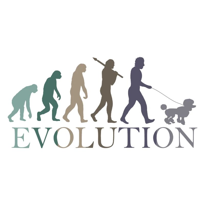 EVOLUTION PUDEL