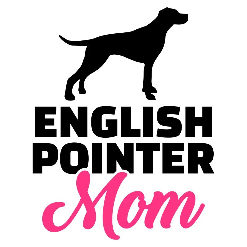 English Pointer