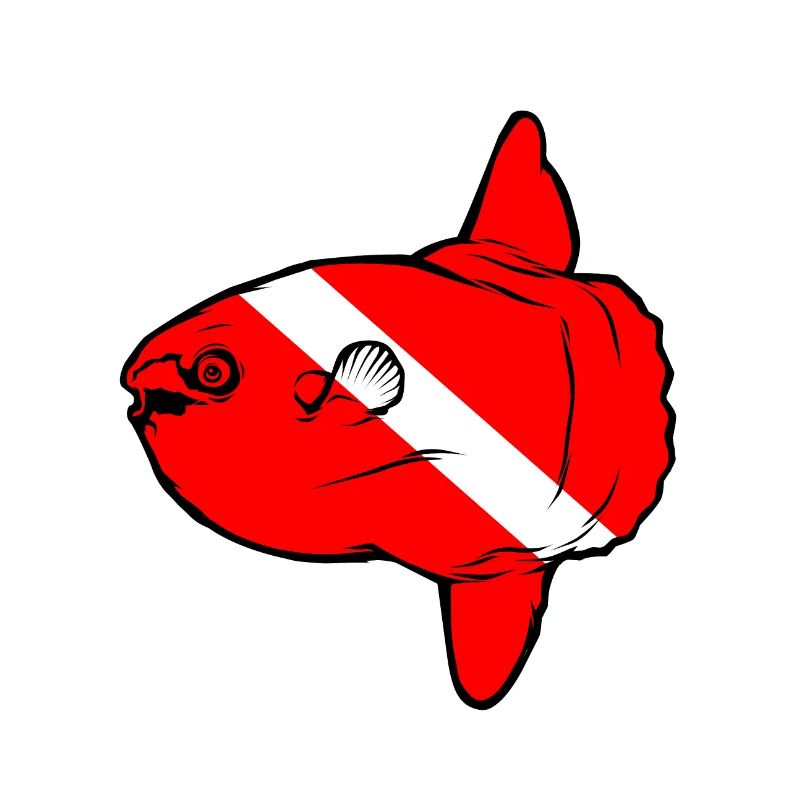 Ocean sunfish