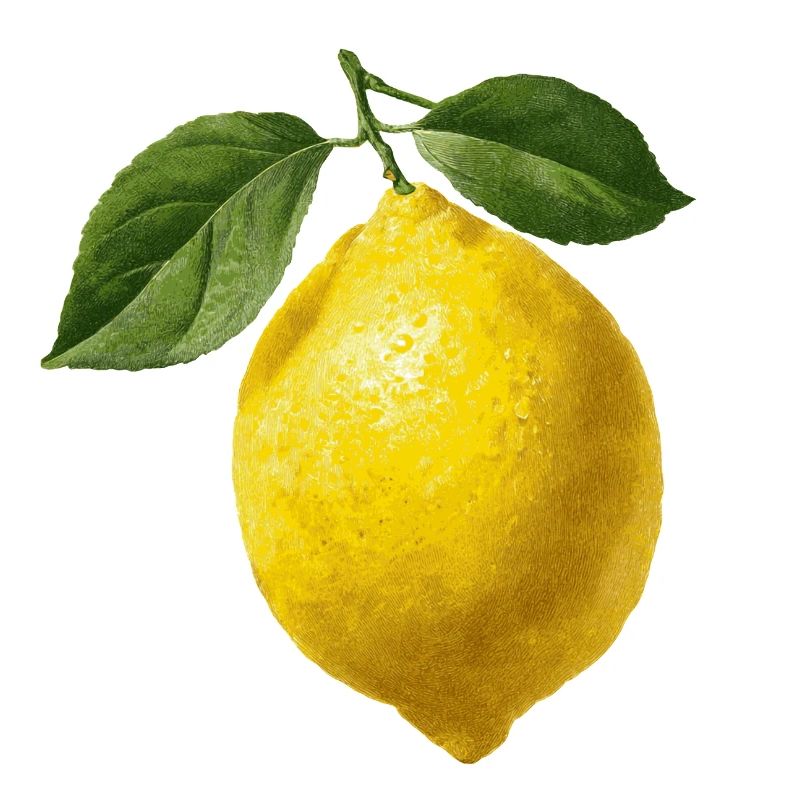 Zitrone