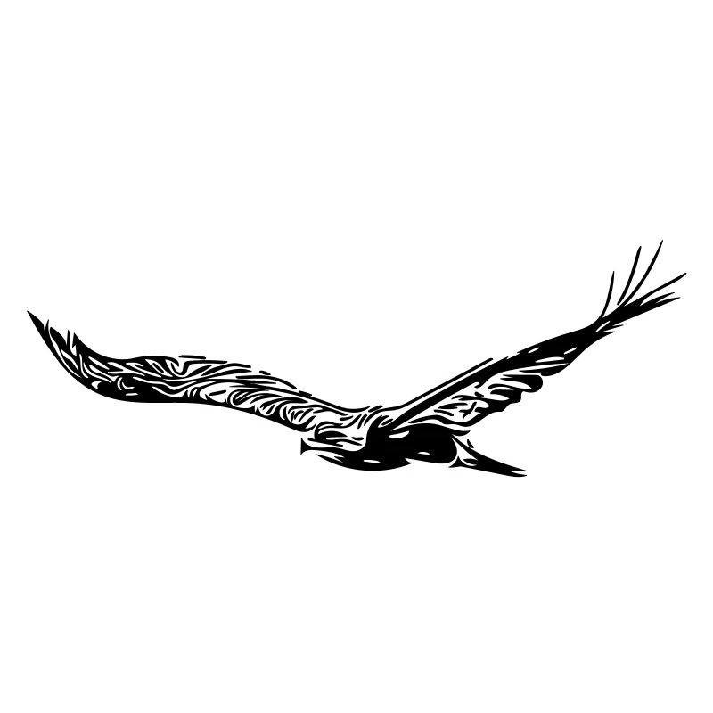aigle