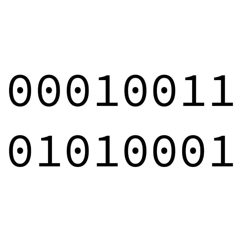 1981 Binary