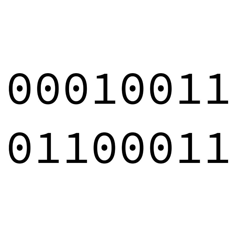 1999 Binary