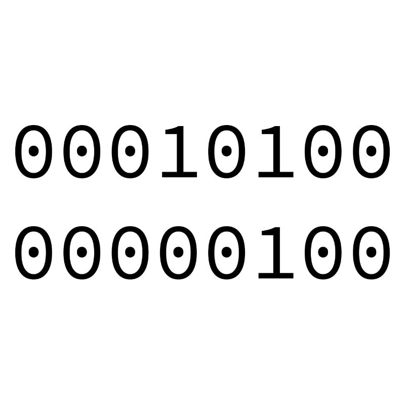 2004 Binary