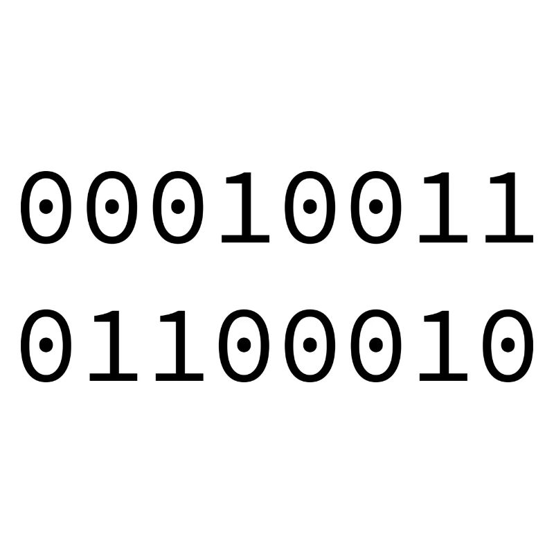 1998 Binary