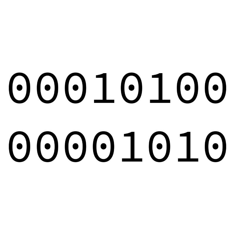 2010 Binary