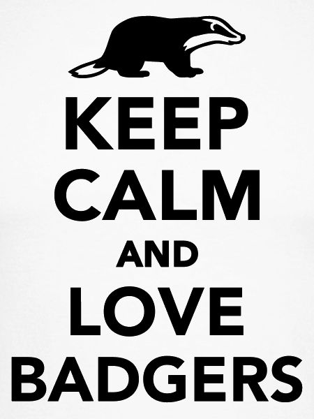 Dachs