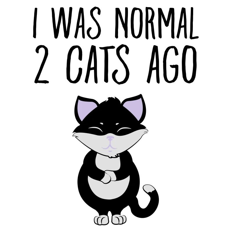I Was Normal 2 Cats Ago