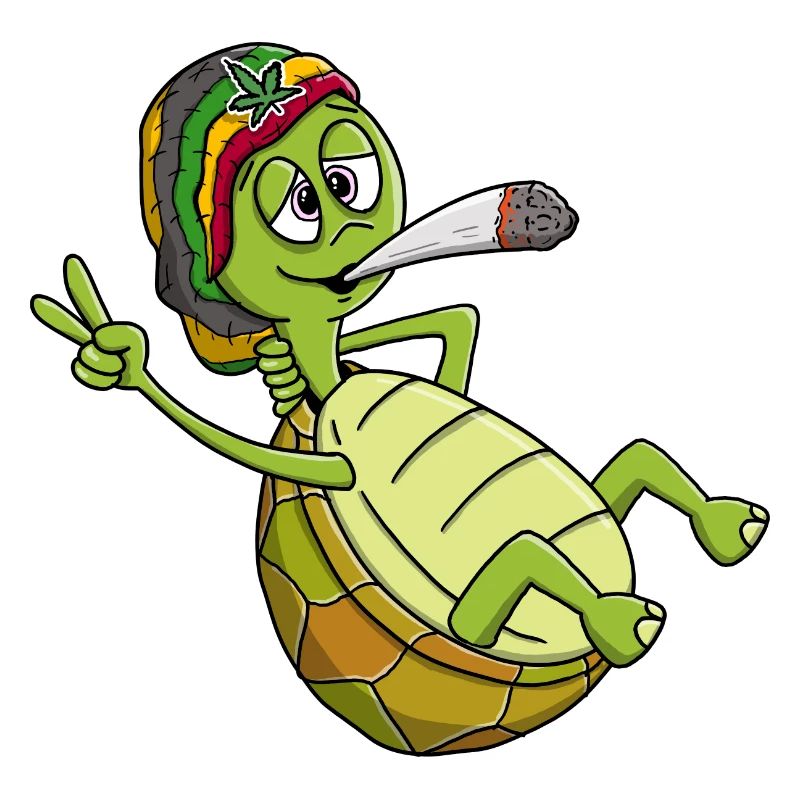 Chill toad, chilling turtle