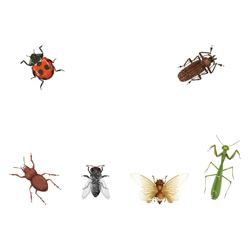 Entomologiste Bug Science facilement distrait par les bugs