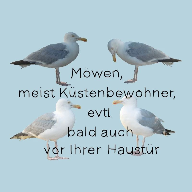 Möwen mit Spruch