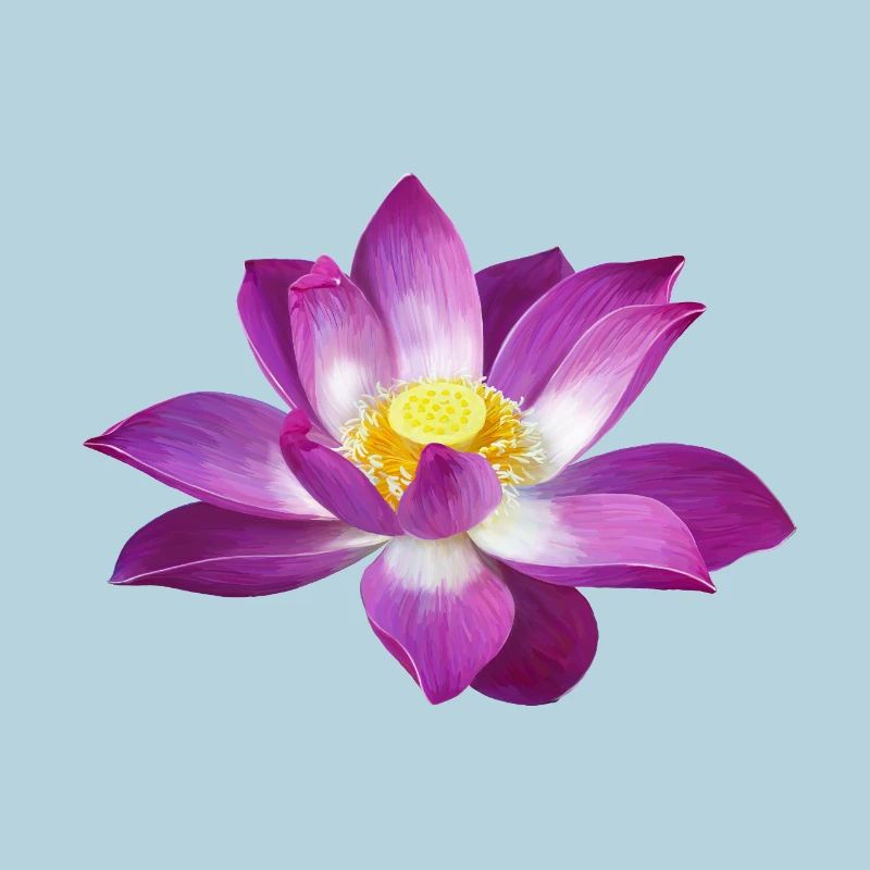 Lotus