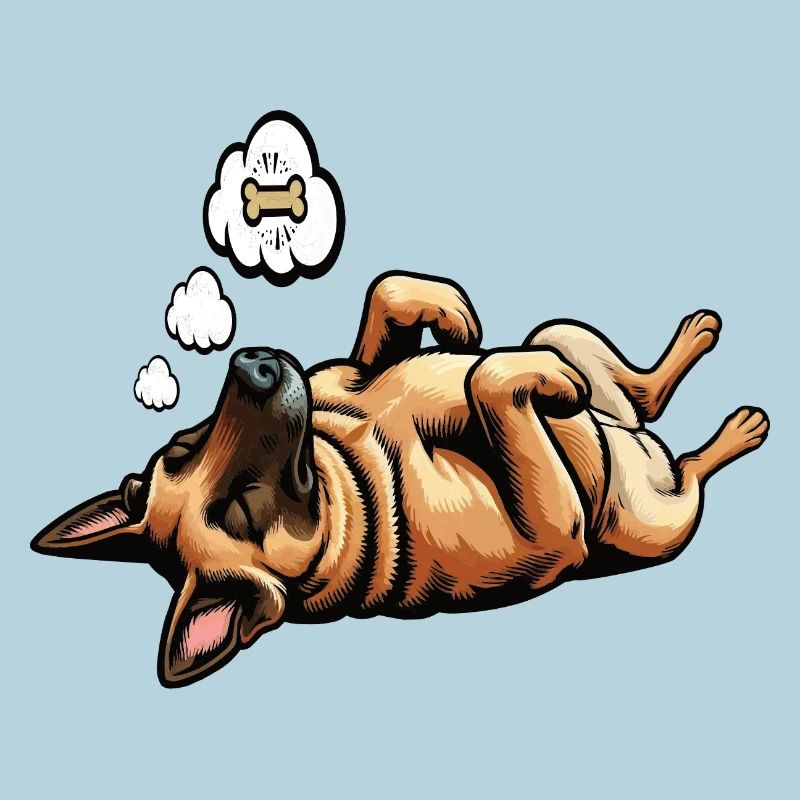 Malinois Belgian Shepherd Malinois Owner