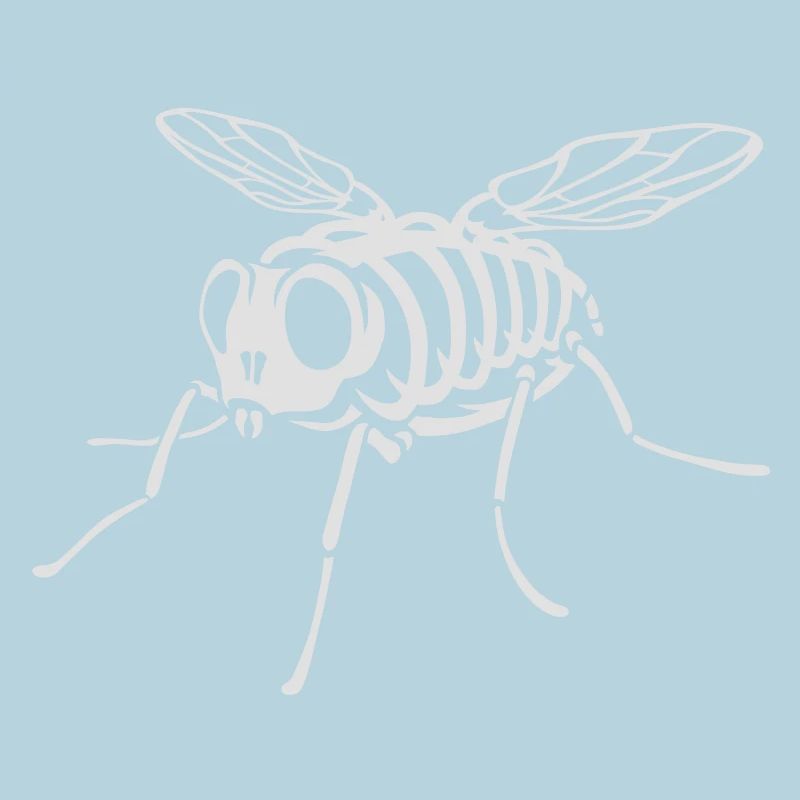 Skeleton Fly