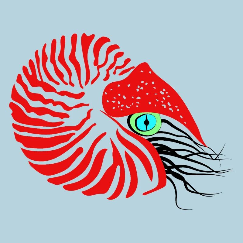 Perlboot, Ammonit, Kopffüßer, Nautilus