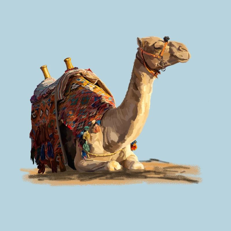 kamel