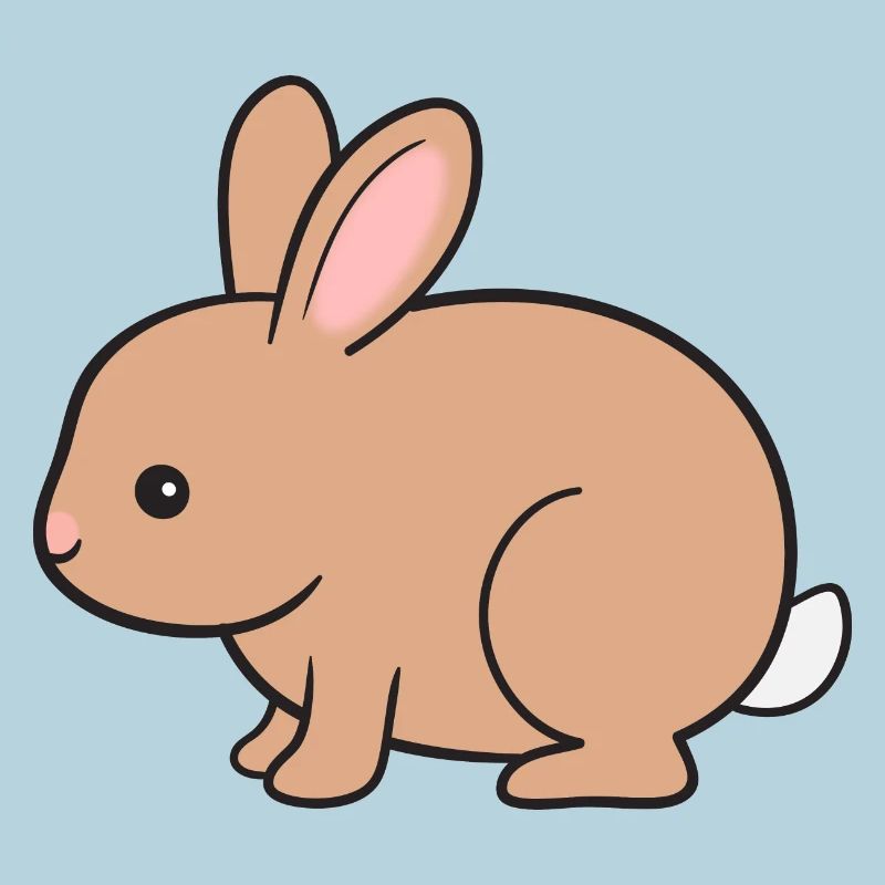 Rabbit Rabbit