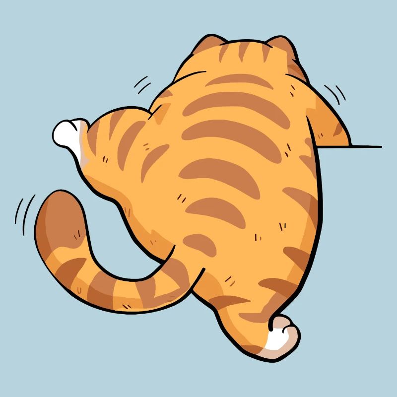 Back view tabby kitten