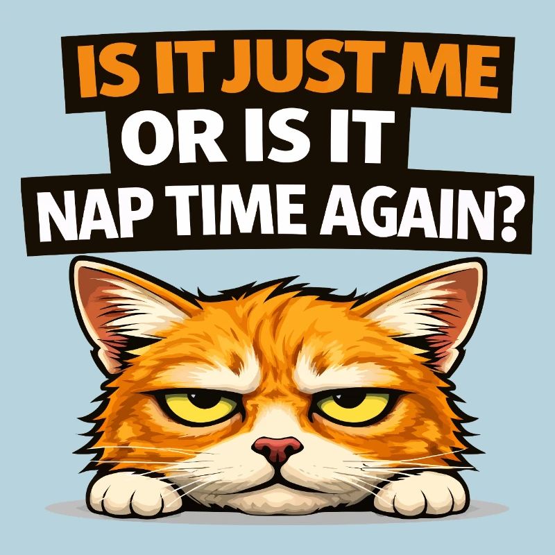 Mème du chat de l’heure de la sieste