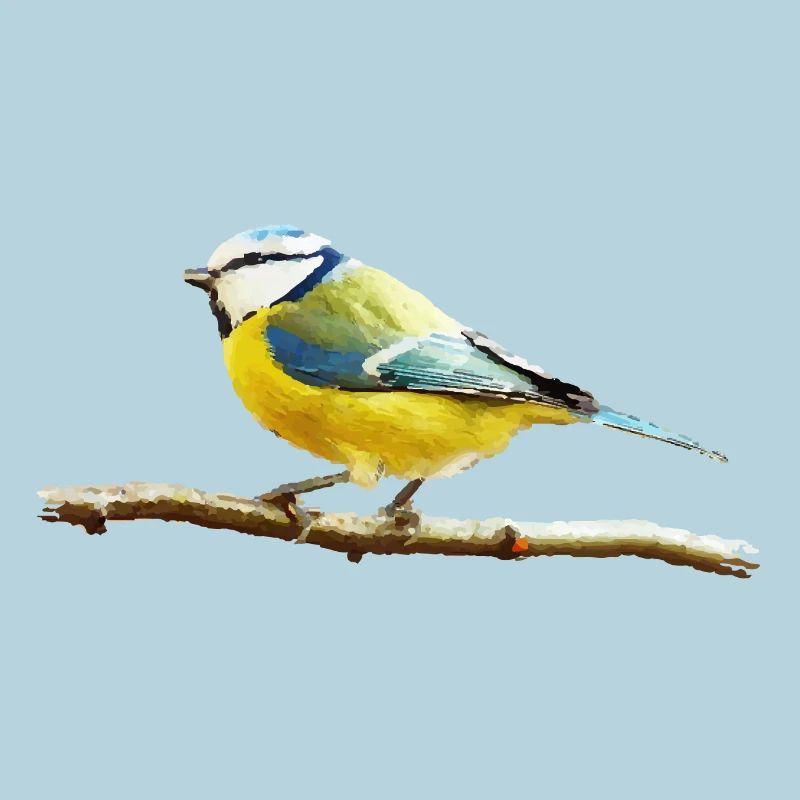 Titmouse