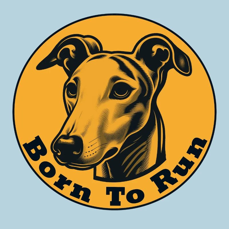 Whippet né pour courir