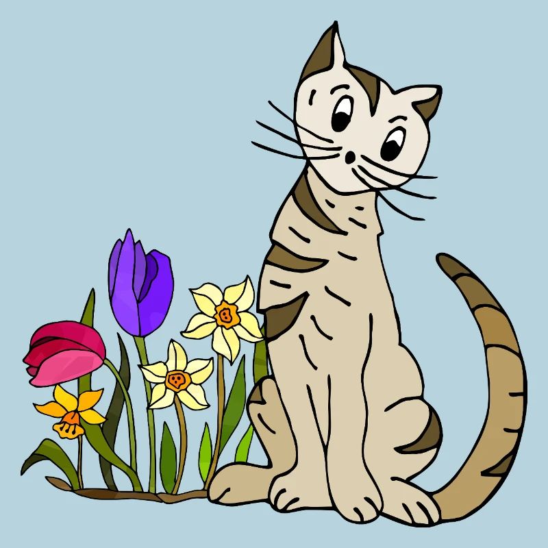 chat