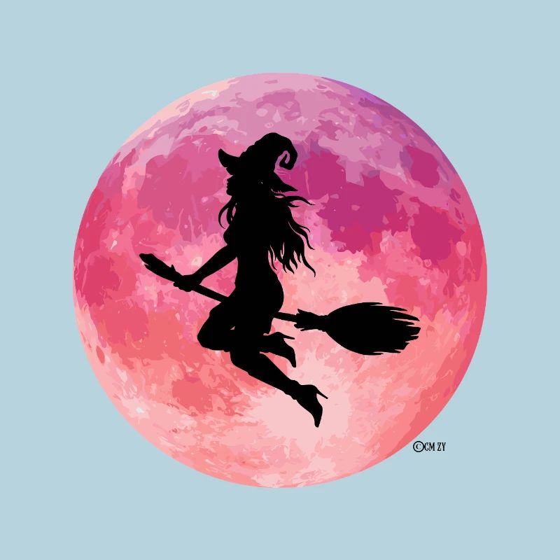 Pink Moon Night Flight Silhouette