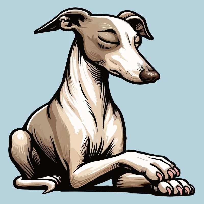 Whippet Greyhound Whippets Propriétaire de lévrier