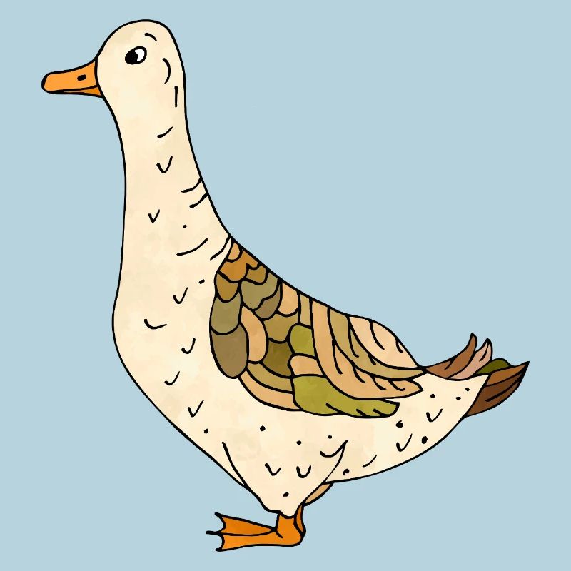 canard