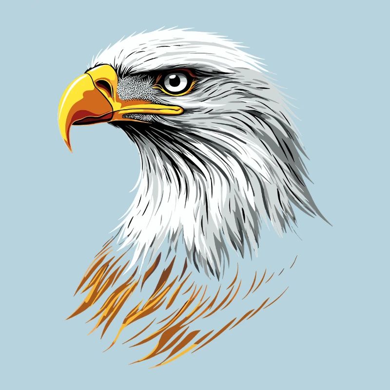 Aigle Pygargue à tête blanche Aigle royal Pygargue à queue blanche