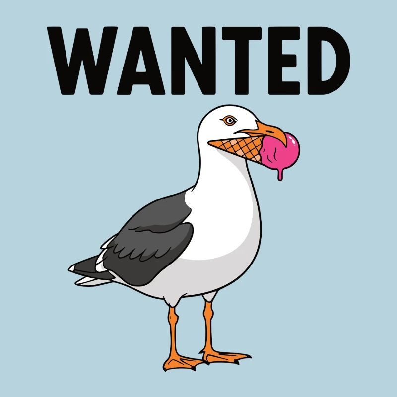 Gesucht Möwe Eiscreme Abenteuer