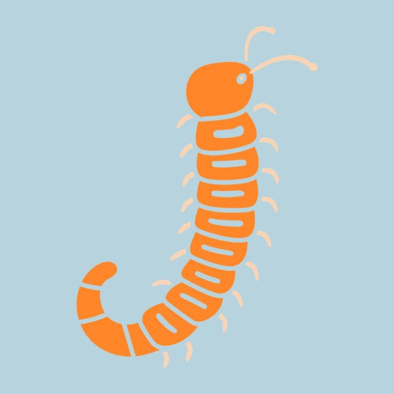 mille-pattes