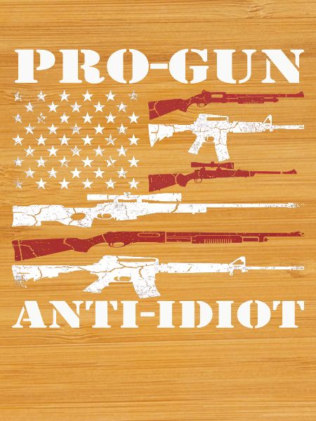 Pro-guns, anti-idiot