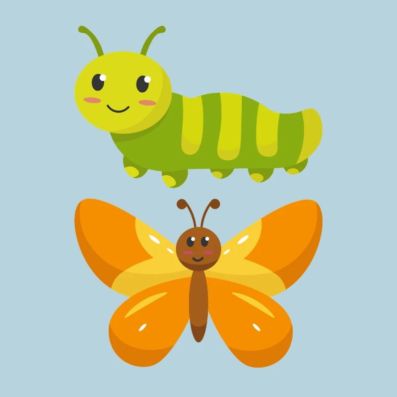 Raupe zu Schmetterling
